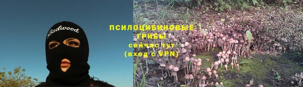 круглые Осинники